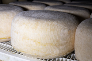 Алтайский сыр ТМ «Предгорье Алтая» отмечен российским Знаком качества