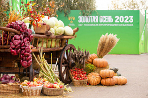 Алтайский край представляет свои достижения в сфере АПК на выставке «Золотая осень 2023»
