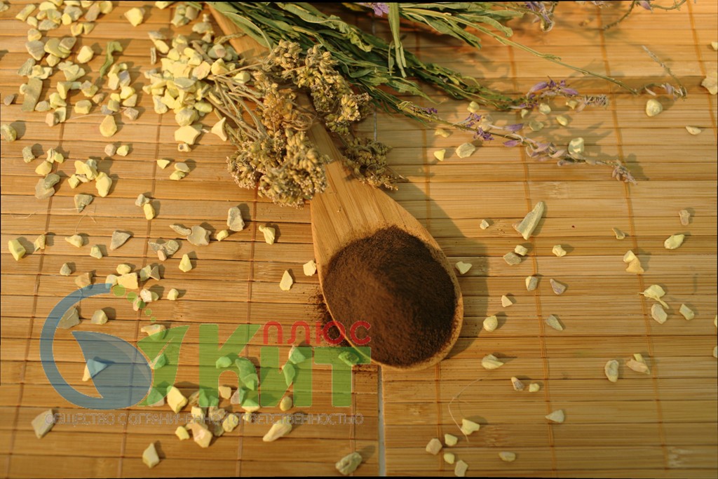 экстракт ЧАГИ (гриб березовый)
