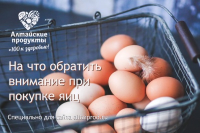 Как выбрать куриные яйца?