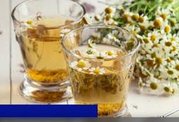 Продукт для здоровья. Как в Алтайском крае делают напитки из трав, собранных на лугах