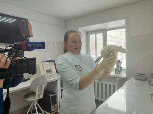 При поддержке гранта Губернатора Алтайского края в сфере биотехнологий разрабатывают гель-полоски, которые могут становиться «второй кожей»