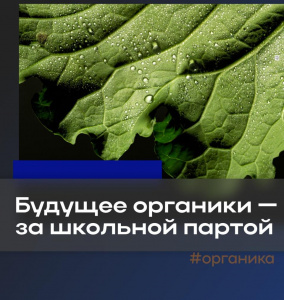 Алтайским школьникам расскажут, что такое органические продукты и почему они важны