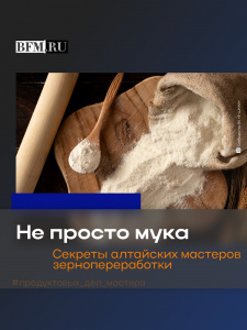 Высшего качества. Как в Алтайском крае перерабатывают зерно для производства продуктов