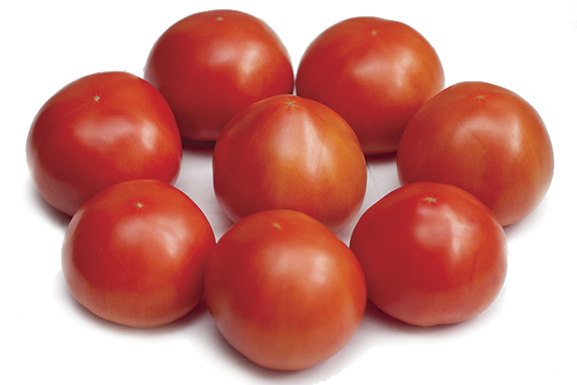 томаты свежие