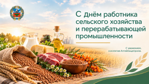 Фото новости.