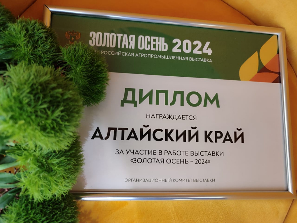 Диплом АК.jpeg
